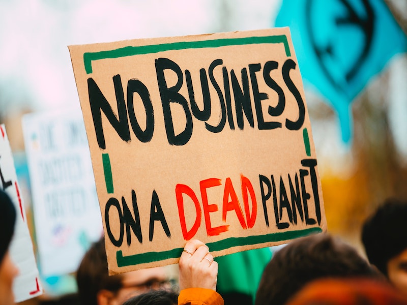 Why Are So Many (Business) People Convinced Business Will Create a Sustainable Society?