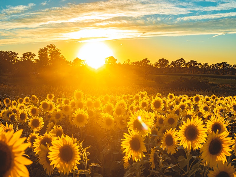 You are currently viewing <span style='color:#00000;font-size:36px;'><strong>Could the War in Ukraine Herald a New Dawn in the Climate Crisis?</strong></span><h3> Putin's invasion has kindled a unity and coordination that is so desperately needed to deal with the climate crisis </h3>
