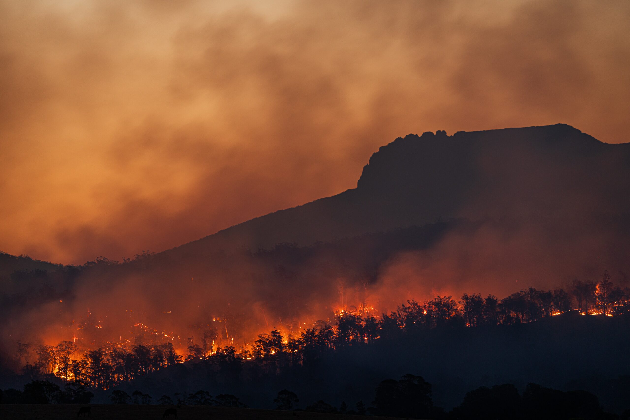 You are currently viewing How Hot Does It Need to Get For People to Wake up to the Climate Emergency?