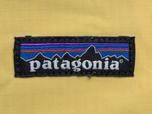 Read more about the article How Sustainable Is Patagonia If No One Can Afford To Buy It?