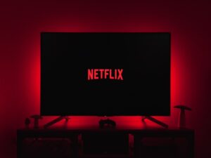 Read more about the article The Rise of Netflix: How Did a Startup Dominate the Home Entertainment Industry?